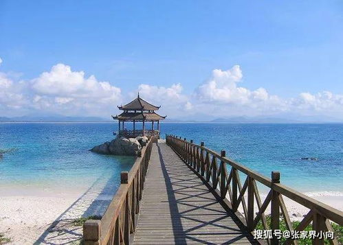 2021最 三亞旅游攻略 海南海岸行者國際旅行社
