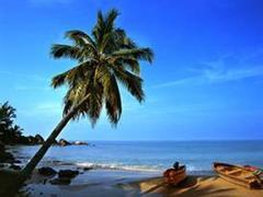 旅總國際旅行社 海南正規旅行社的卓越之選